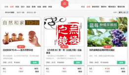 吃瓜网站爆料平台有哪些,盘点各大爆料平台风云录