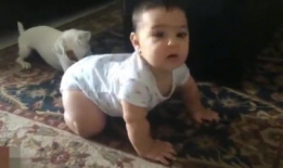 小宝视频,趣味横生的童年时光记录